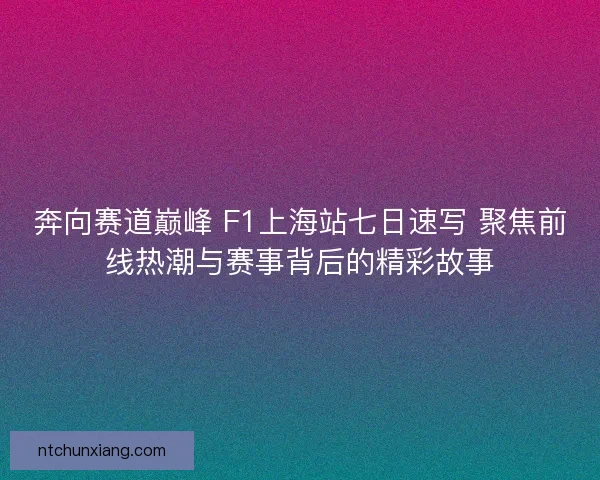 奔向赛道巅峰 F1上海站七日速写 聚焦前线热潮与赛事背后的精彩故事