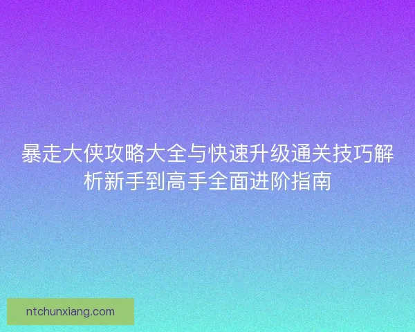 暴走大侠攻略大全与快速升级通关技巧解析新手到高手全面进阶指南