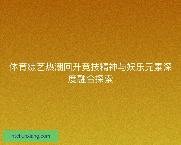 体育综艺热潮回升竞技精神与娱乐元素深度融合探索